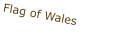 Flag of Wales
